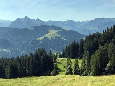 Sihlsee Gölü vadisinin yamaçlarında Evergreen veya iğne yapraklı ormanlar, Einsiedeln-Schwyz Kantonu, Isviçre