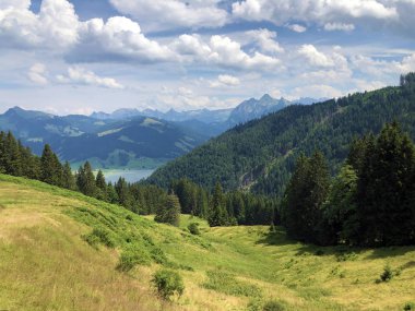 Sihlsee Gölü vadisinin yamaçlarında Evergreen veya iğne yapraklı ormanlar, Einsiedeln-Schwyz Kantonu, Isviçre