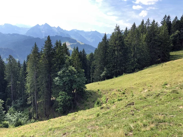 Smíšené Lesy Údolí Sihlsee Lake Einsiedeln Kanton Schwyz Švýcarsko — Stock fotografie