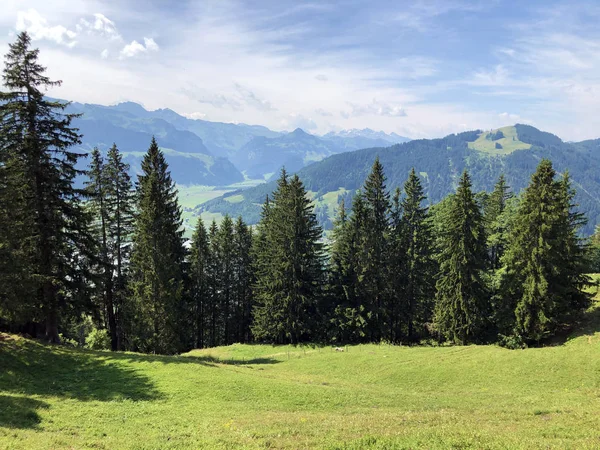 Lasy Mieszane Dolinie Jeziora Sihlsee Einsiedeln Kanton Schwyz Szwajcaria — Zdjęcie stockowe