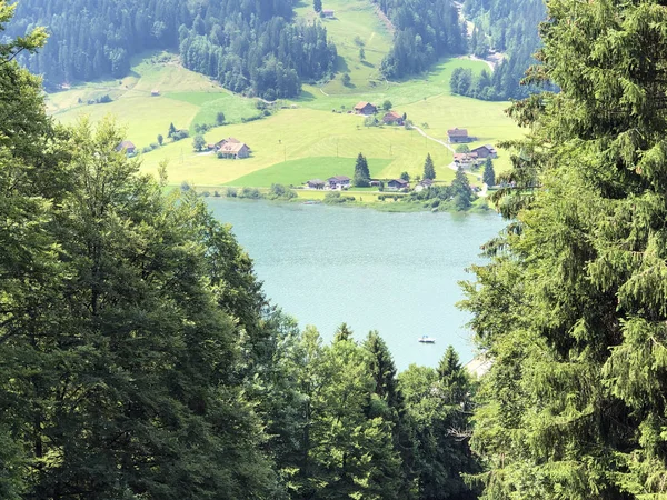 Sihlsee Gölü Vadisi Nde Karışık Ormanlar Einsiedeln Schwyz Kantonu Isviçre — Stok fotoğraf