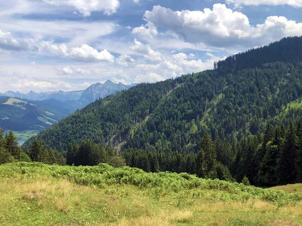 Florestas Perenes Coníferas Nas Encostas Vale Lago Sihlsee Einsiedeln Cantão — Fotografia de Stock