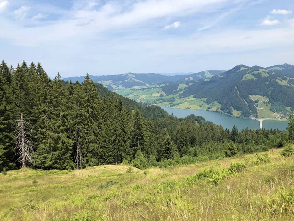 Stálezelené Nebo Jehličnaté Lesy Svazích Jezera Sihlsee Einsiedeln Kanton Schwyz — Stock fotografie