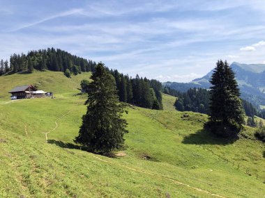 Sihltal vadisindeki alp çayırları ve çimenlik ve yapay Sihlsee Gölü, Einsiedeln-Schwyz Kantonu, Isviçre