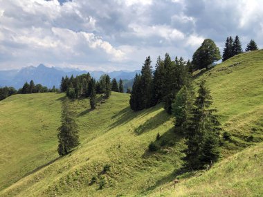 Sihltal vadisindeki alp çayırları ve çimenlik ve yapay Sihlsee Gölü, Einsiedeln-Schwyz Kantonu, Isviçre