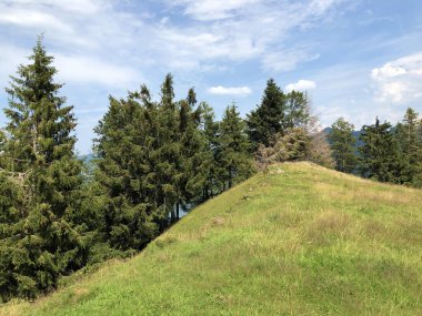 Sihltal vadisindeki alp çayırları ve çimenlik ve yapay Sihlsee Gölü, Einsiedeln-Schwyz Kantonu, Isviçre