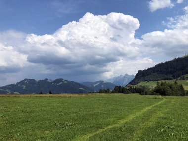 Sihltal vadisindeki alp çayırları ve çimenlik ve yapay Sihlsee Gölü, Einsiedeln-Schwyz Kantonu, Isviçre
