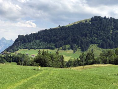 Sihltal vadisindeki alp çayırları ve çimenlik ve yapay Sihlsee Gölü, Einsiedeln-Schwyz Kantonu, Isviçre