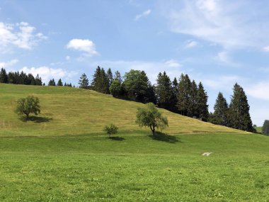 Sihltal vadisindeki alp çayırları ve çimenlik ve yapay Sihlsee Gölü, Einsiedeln-Schwyz Kantonu, Isviçre