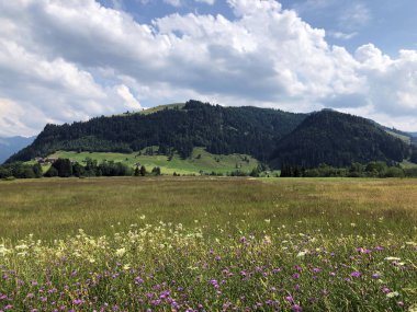 Sihltal vadisindeki alp çayırları ve çimenlik ve yapay Sihlsee Gölü, Einsiedeln-Schwyz Kantonu, Isviçre