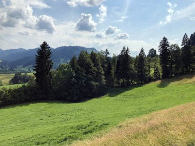 Sihltal vadisindeki alp çayırları ve çimenlik ve yapay Sihlsee Gölü, Einsiedeln-Schwyz Kantonu, Isviçre