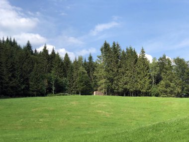 Sihltal vadisindeki alp çayırları ve çimenlik ve yapay Sihlsee Gölü, Einsiedeln-Schwyz Kantonu, Isviçre