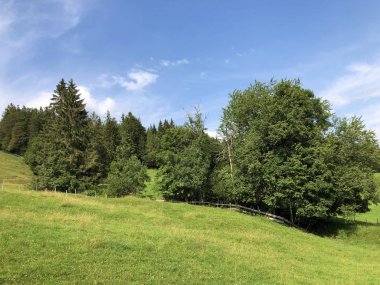 Sihltal vadisindeki alp çayırları ve çimenlik ve yapay Sihlsee Gölü, Einsiedeln-Schwyz Kantonu, Isviçre