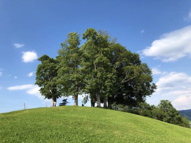 Sihltal vadisindeki alp çayırları ve çimenlik ve yapay Sihlsee Gölü, Einsiedeln-Schwyz Kantonu, Isviçre