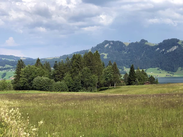 Alpesi Legelők Gyepek Sihltal Völgyében Mesterséges Sihlsee Tónál Einsiedeln Schwyz — Stock Fotó