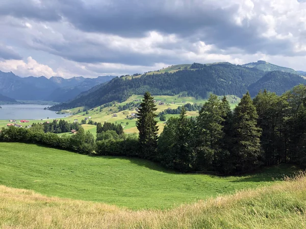 Alpejskie Pastwiska Łąki Dolinie Sihltal Nad Jeziorem Sztuczna Sihlsee Einsiedeln — Zdjęcie stockowe