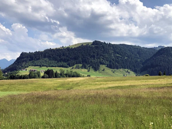 シルタールの谷と芸術的なシルゼー湖 アインシエーデルン シュヴィーツの広州 スイスのアルプスの牧草地と草原 — ストック写真