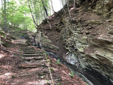 Sihl Vadisi ve Sihlsee göl bölgesinde yürüyüş ve yürüyüş parkurları, Einsiedeln-Schwyz Kantonu, Isviçre
