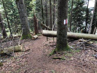 Sihl Vadisi ve Sihlsee göl bölgesinde yürüyüş ve yürüyüş parkurları, Einsiedeln-Schwyz Kantonu, Isviçre