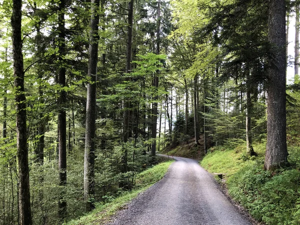 계곡과 아인시에델른 슈비츠 산책로 — 스톡 사진