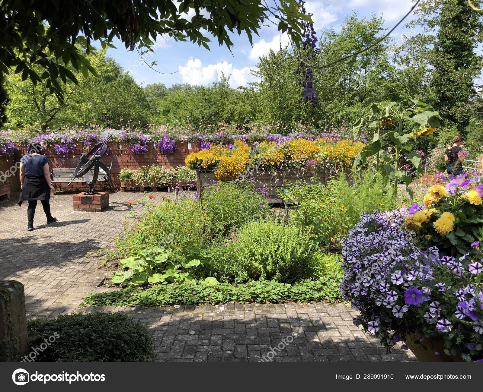 Garden Everyone Garten Alle Flower Island Mainau Lake Constance