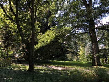 Arboretum (Tree Collection veya Baumsammlung), (Konstanz Gölü veya Die Blumeninsel im Bodensee üzerinde çiçek Adası Mainau)-Constance, Almanya veya Konstanz, Deutschland
