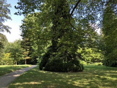 Çiçek adasında Park ve ağaçlar (Konstanz Gölü veya Die Blumeninsel im Bodensee üzerinde çiçek Adası Mainau)-Constance, Almanya veya Konstanz, Deutschland