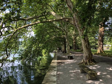 Göle yakın uçaklar veya çınar ağaçları bulvarı (Konstanz Gölü'ndeki Flower Island Mainau veya Die Blumeninsel im Bodensee) - Konstanz, Almanya veya Konstanz, Deutschland