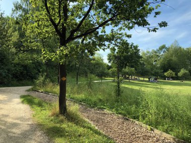 Irchel Nature Trail veya Naturlehrpfad Irchel - Zürih, İsviçre