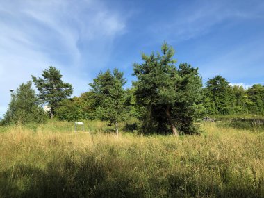 Irchel Nature Trail veya Naturlehrpfad Irchel - Zürih, İsviçre