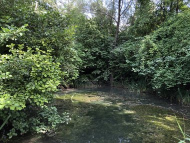 Irchel Park veya Irchelpark veya Park Irchel - Zürih, İsviçre