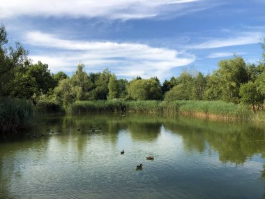 Irchel Park veya Irchelpark veya Park Irchel - Zürih, İsviçre