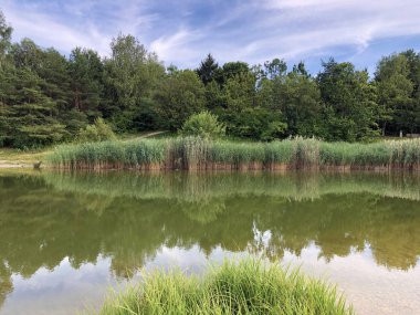 Irchel Park veya Irchelpark veya Park Irchel - Zürih, İsviçre