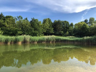 Irchel Park veya Irchelpark veya Park Irchel - Zürih, İsviçre