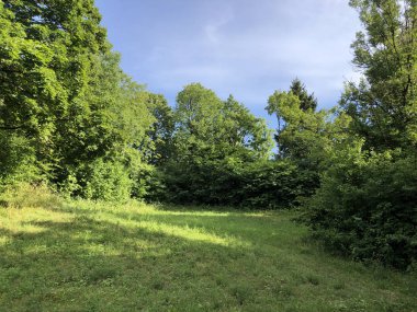 Irchel Park veya Irchelpark veya Park Irchel - Zürih, İsviçre