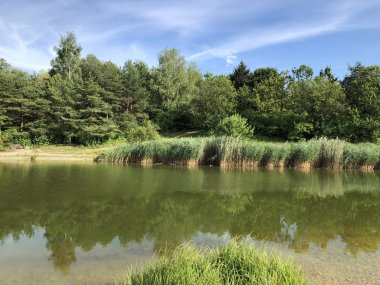 Irchel Park veya Irchelpark veya Park Irchel - Zürih, İsviçre