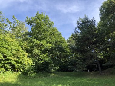 Irchel Park veya Irchelpark veya Park Irchel - Zürih, İsviçre