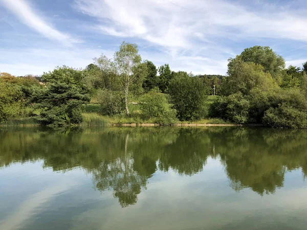 Irchelpark Oder Irchelpark Oder Park Irchel Zürich Schweiz — Stockfoto