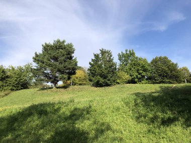 Irchel Park veya Irchelpark veya Park Irchel - Zürih, İsviçre