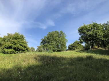 Irchel Park veya Irchelpark veya Park Irchel - Zürih, İsviçre