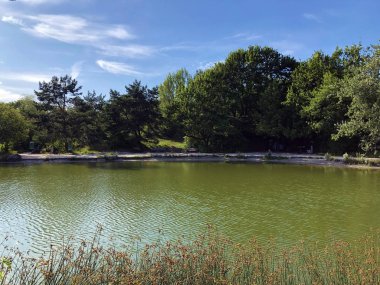 Irchel Park veya Irchelpark veya Park Irchel - Zürih, İsviçre