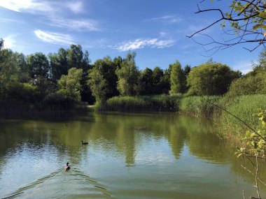 Irchel Park veya Irchelpark veya Park Irchel - Zürih, İsviçre