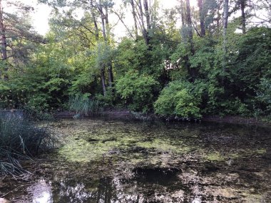 Irchel Park veya Irchelpark veya Park Irchel - Zürih, İsviçre