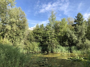 Irchel Park veya Irchelpark veya Park Irchel - Zürih, İsviçre