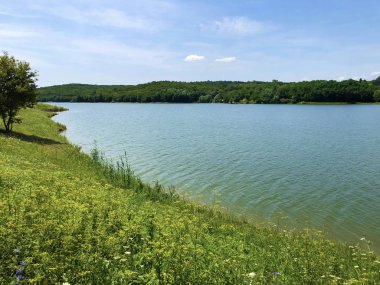 Birikim Gölü Lapovac veya Akumulacijsko Jezero Lapovac - Nasice, Hırvatistan veya Nasice, Hrvatska