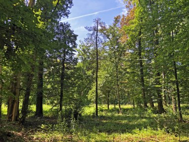Draskovic kale parkı veya Park oko dvorca Blahimir ili Perivoj Dvorca Draskovic - Bozjakovina, Hırvatistan veya Bozjakovina, Hrvatska