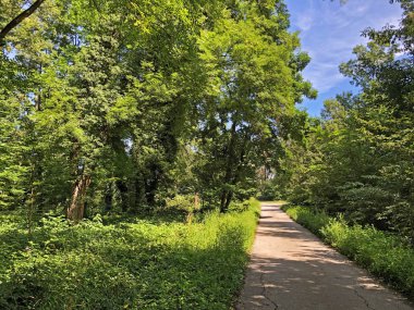 Draskovic kale parkı veya Park oko dvorca Blahimir ili Perivoj Dvorca Draskovic - Bozjakovina, Hırvatistan veya Bozjakovina, Hrvatska