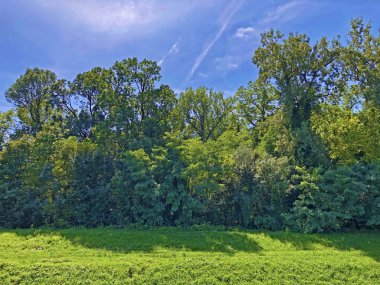 Draskovic kale parkı veya Park oko dvorca Blahimir ili Perivoj Dvorca Draskovic - Bozjakovina, Hırvatistan veya Bozjakovina, Hrvatska