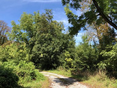 Draskovic kale parkı veya Park oko dvorca Blahimir ili Perivoj Dvorca Draskovic - Bozjakovina, Hırvatistan veya Bozjakovina, Hrvatska