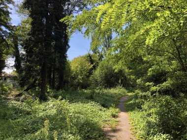 Draskovic kale parkı veya Park oko dvorca Blahimir ili Perivoj Dvorca Draskovic - Bozjakovina, Hırvatistan veya Bozjakovina, Hrvatska